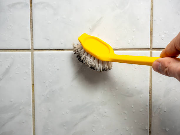 Best Fast Mold Removal  in Millwood, WA