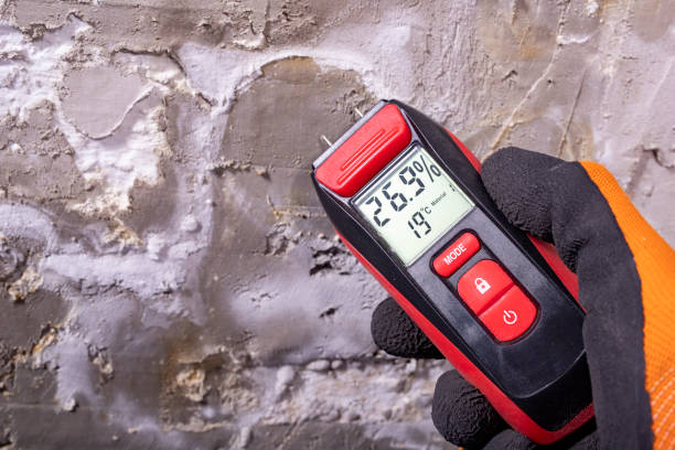 Best Attic Mold Removal  in Millwood, WA